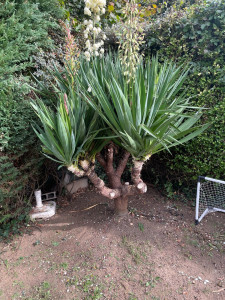 Photo de galerie - Jardinier