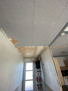 Photo de galerie - Rénovation murs et plafond de cette entrée 