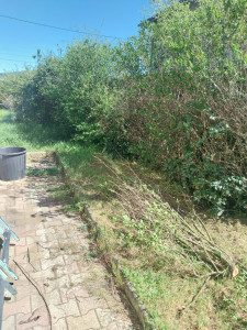 Photo de galerie - Coupe de haie 