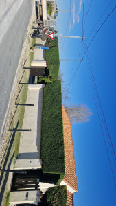 Photo de galerie - Haie de tuya