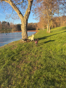 Photo de galerie - Balade au bord de l’eau