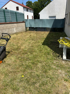 Photo de galerie - Tonte de pelouse + débroussaillage d’un roncier