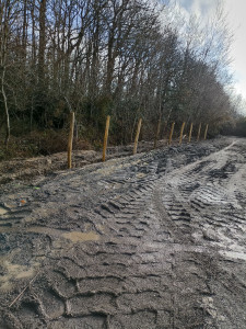 Photo de galerie - Clôture Grillage