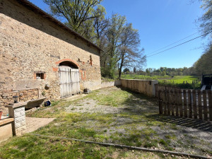 Photo de galerie - Tonte débroussaillage 
