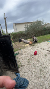 Photo de galerie - Voici un pon que nous avons abattu 