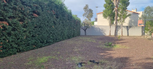 Photo de galerie - T