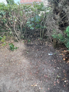 Photo de galerie - Jardinier