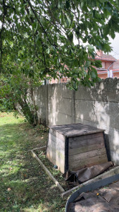 Photo de galerie - Après.      