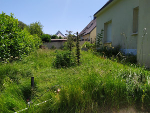 Photo de galerie - Tonte de pelouse - Débroussaillage