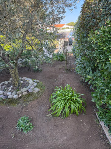 Photo de galerie - Entretien des parterres de fleurs