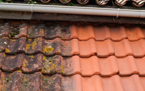 Photo de galerie - Nettoyage de toiture 