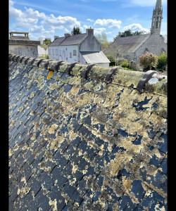 Photo de galerie - Couverture - Toiture
