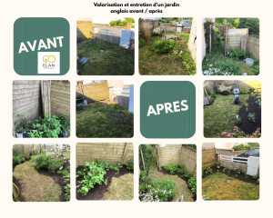 Photo de galerie - Valorisation et entretien d’un jardin anglais avant / après