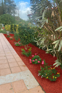 Photo de galerie - Création d’un massif 