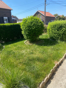 Photo de galerie - Tonte de pelouse - Débroussaillage