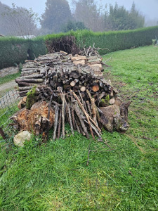 Photo de galerie - Je ne fais pas de coupe mais je peux aider à ranger et déplacer si besoin 
