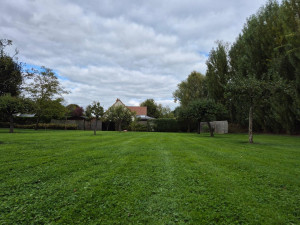 Photo de galerie - Tonte de pelouse - Débroussaillage