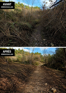 Photo de galerie - Débroussaillage d'un chemin d'accès 