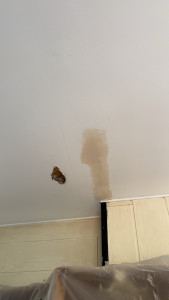 Photo de galerie - Rebouchage fissuré et trou sur plafond de cuisine 