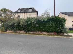 Photo de galerie - Taille de haie avant 