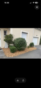 Photo de galerie - Taille d’arbuste 