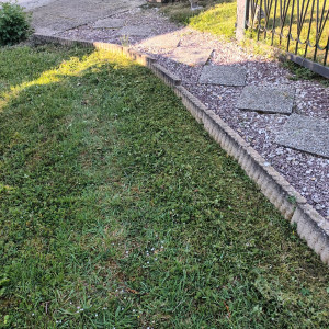 Photo de galerie - Une bonne tonte, ça fait du bien. 