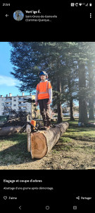 Photo de galerie - Elagage et coupe d'arbres