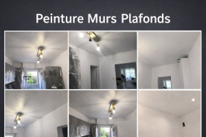 Photo de galerie - Peinture Murs Plafonds