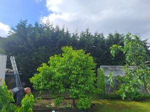 Photo de galerie - Avent