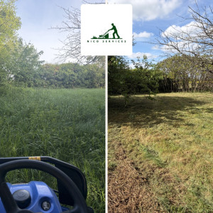 Photo de galerie - Débroussaillage 