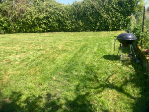 Photo de galerie - Tonte pelouse