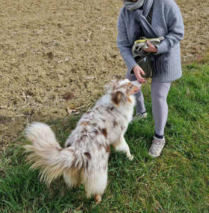 Photo de galerie - Balade avec ma louloute Umi.