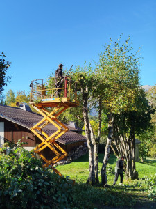 Photo de galerie - Je suis à vos services 