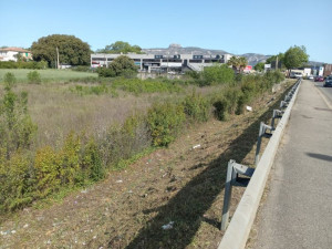 Photo de galerie - Débroussaillage à lame après 