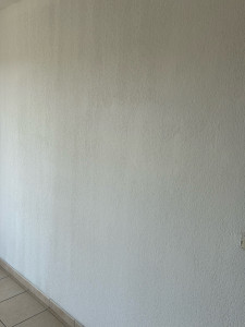 Photo de galerie - Peinture - Tapisserie