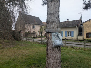 Photo de galerie - Pose de pièges pour chenille processionnaire.