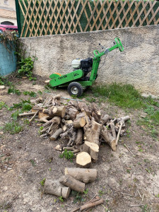 Photo de galerie - Débitage de bois