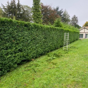 Photo de galerie - Travail réalisé avec soin