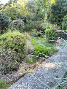 Photo de galerie - Plantation de haies mélangées 
plantation de vivaces locales
pos
e de bordures
pose de gazon 
pose de pas japonais
pose de clôture en bois