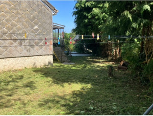 Photo de galerie - Tonte de pelouse - Débroussaillage