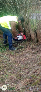 Photo de galerie - Gros élagage avec tronconneuse aucun problème 