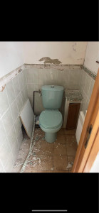 Photo de galerie - Rénovation d’un toilettes chez une cliente