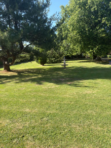 Photo de galerie - Tonte de pelouse - Débroussaillage