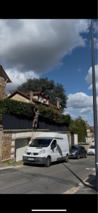 Photo de galerie - Taille de haies difficile 