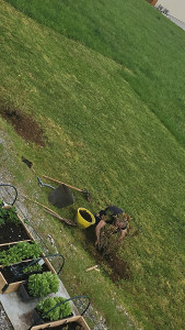Photo de galerie - Paysagiste - Aménagement du jardin
