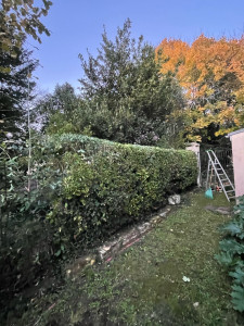 Photo de galerie - Jardinier