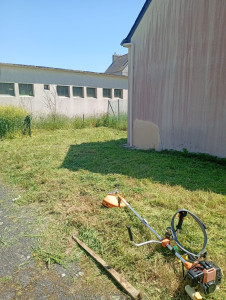 Photo de galerie - Tonte de pelouse - Débroussaillage