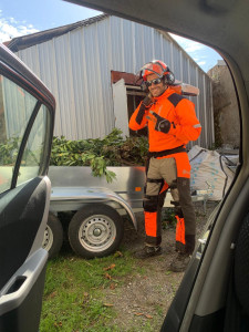 Photo de galerie - Paysagisme