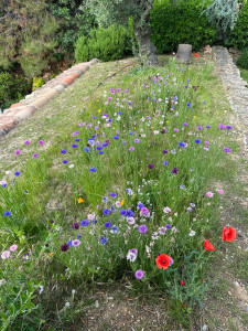 Photo de galerie - Jardinier