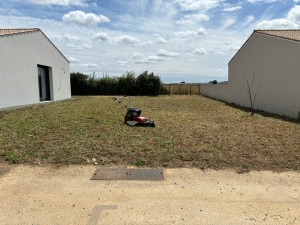 Photo de galerie - Débroussaillage de terrain après 